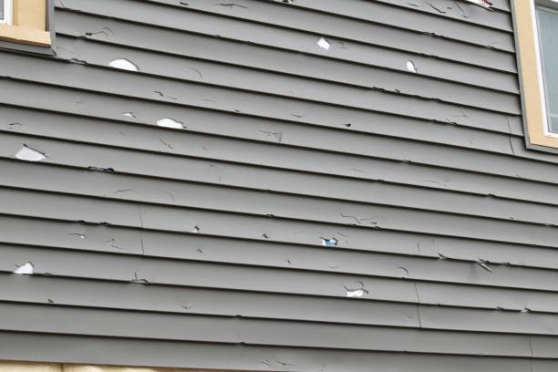 Best Siding Painting and Refinishing  in Santa Barbara, CA