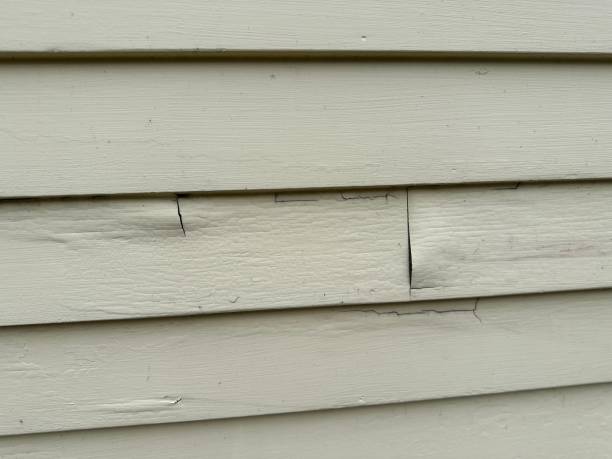 Best Historical Building Siding Restoration  in Santa Barbara, CA